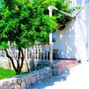 Guesthouse Oliva